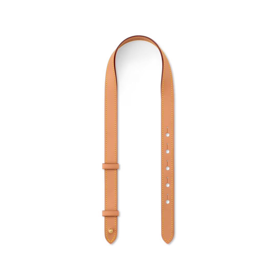 Louis Vuitton All In BB