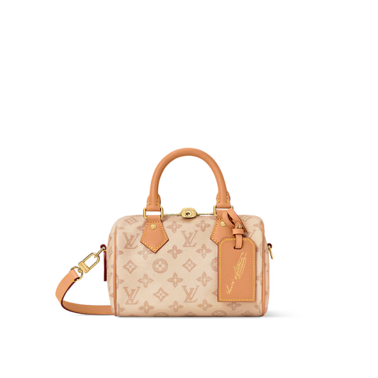 Louis Vuitton Speedy Bandoulière 20